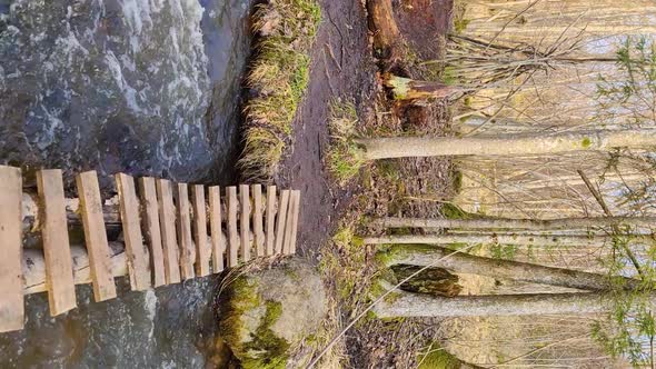 Bridge on the river in the spring forest