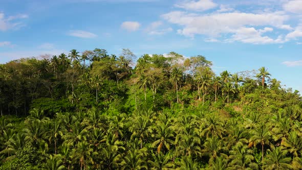 Mountain Landscape with Clouds. Mountain Landscape on Leyte Island, Philippines.