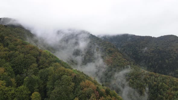 Mountains in Fog Slow Motion. Aerial View of the Carpathian Mountains in Autumn, Ukraine