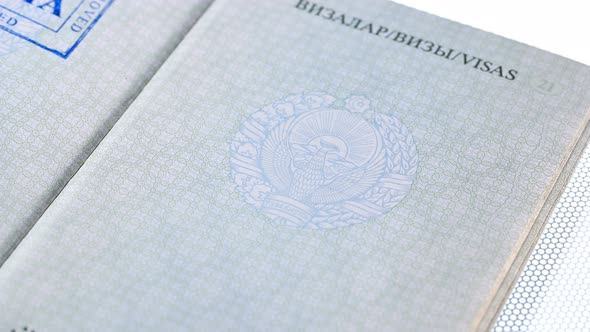 Put a Stamp in the Passport: Russia Visa, Approved