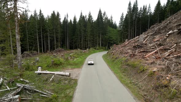 A single white SUV drives through a recently clear cut forest area, aerial track back