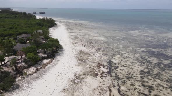 Shore of Zanzibar Island Tanzania at Low Tide