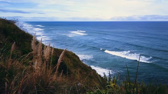 New Zealand coast