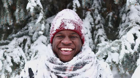 African American Man in a Snowy Winter Woodland with Snowflakes Falling From Spruce and Fir Forest