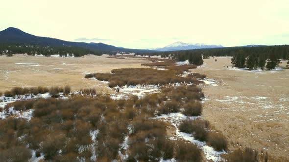 Aerial view of Pikes National Forest in the Winter