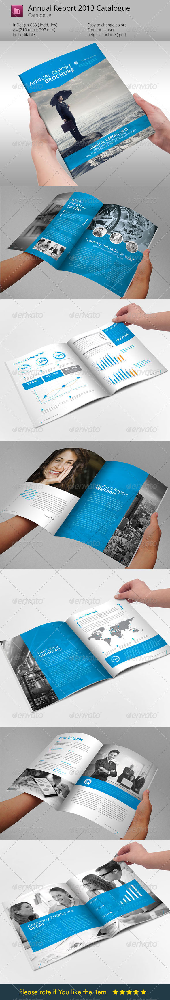 Annual Report  Brochure Indesign Template