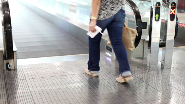 In Walking Track alt