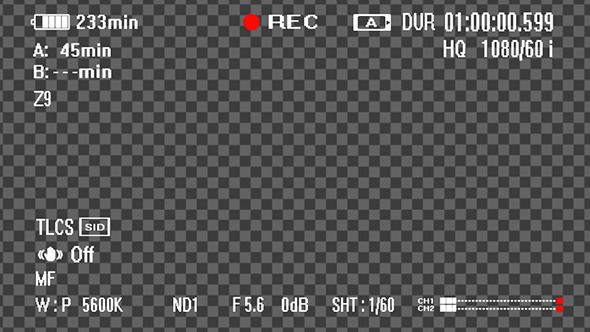 Digital Camcoder Recording Screen