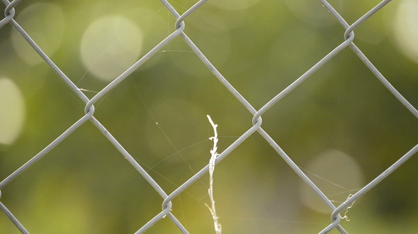 Wire Fence Close Up