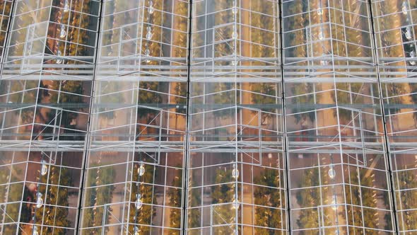 Transparent Roofs of Long Contemporary Greenhouses Aerial