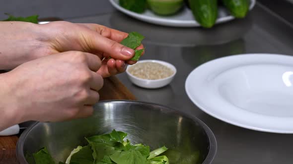 Chef Making Fresh Salad