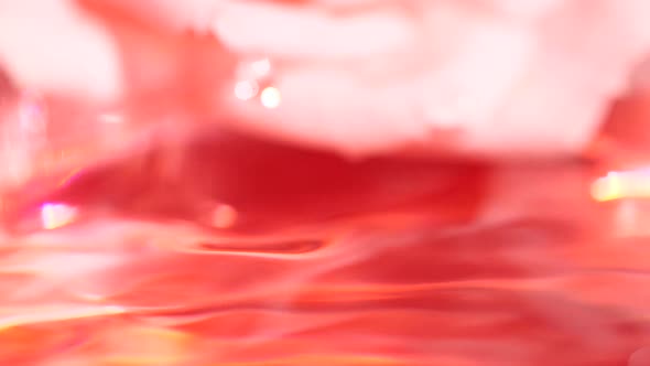 Slow Motion Closeup Pink Water Drop Splashing on Blurred Rose Flower Background