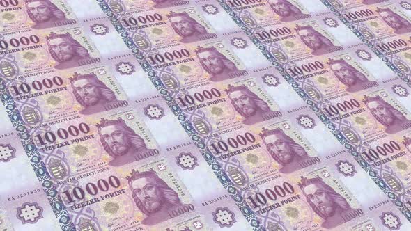 Hungary  Money / 10000 Hungarian Forint 4K