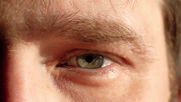 Close Up of a Male Eye Looking at Camera