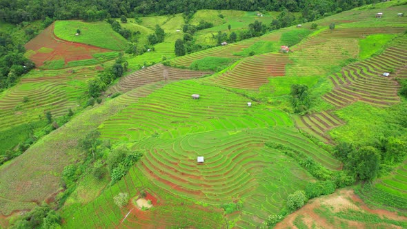 Drone flying over green rice terraces field in countryside