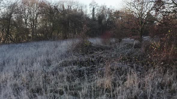 early morning winter landscape, close tracking shot over a field of frost-covered bushes