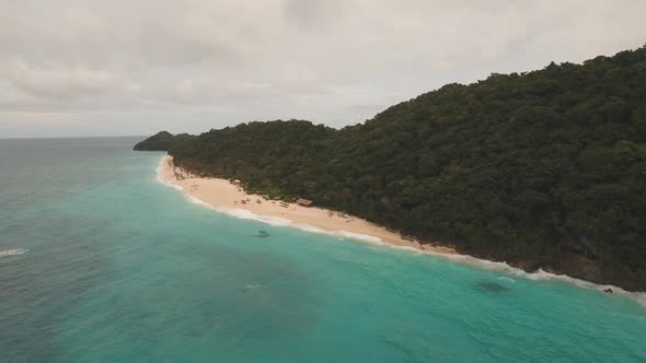 Tropical Sand Beach with Palm Trees