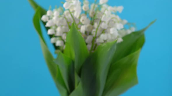 Rotating Bouquet of White Spring Flowers Lilies of Valley on Blue Background