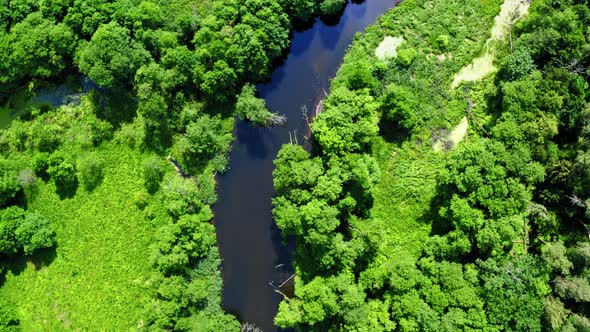 Beautiful old green forest and river in Poland, aerial view, Tuchola national park