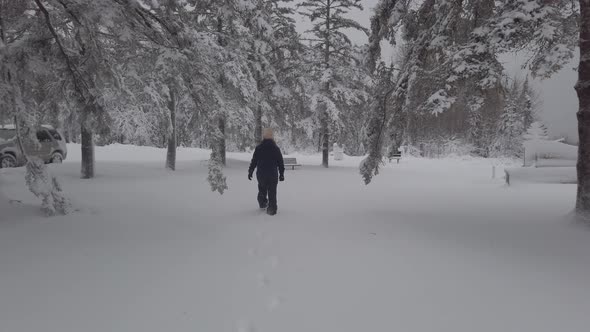 winter wonderland amazing landscape in minnesota person walking after a snowstorm