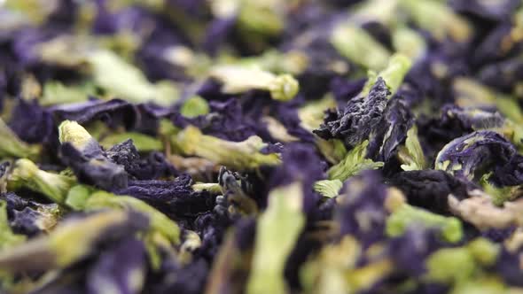 Chang shu blue tea, falling dry purple petals of Tibetan clitoria flowers