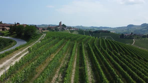 Serralunga D'Alba in Langhe, Piedmont