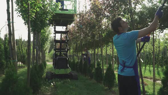 People Work in Garden Using Elevator