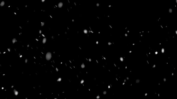 It Is Snowing Winter Real Snow Background