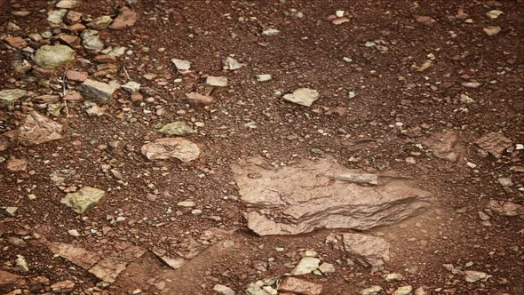 Dry Ground Texture Background Loop