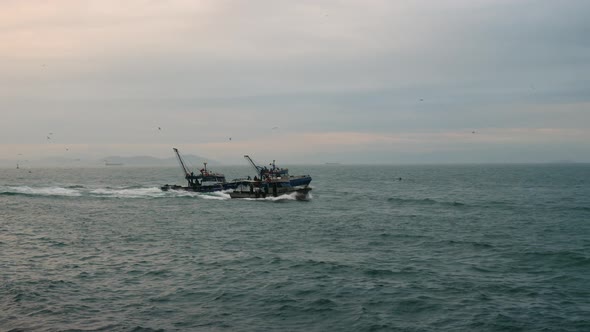 Fishing Boats Followed By Seagulls
