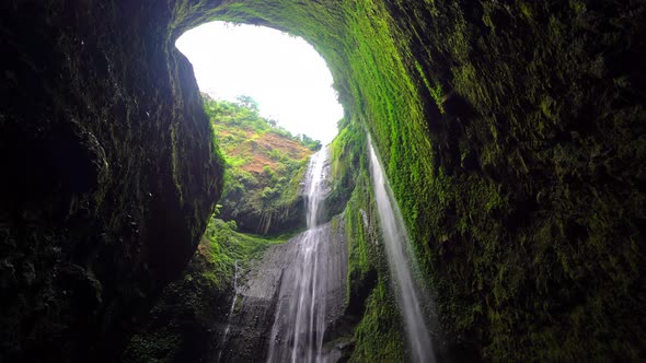 Madakaripura Waterfall in national park. The tallest waterfall in Java Island  in Indonesia.