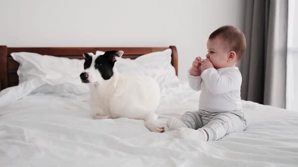 Baby Boy with Dog in the Bed