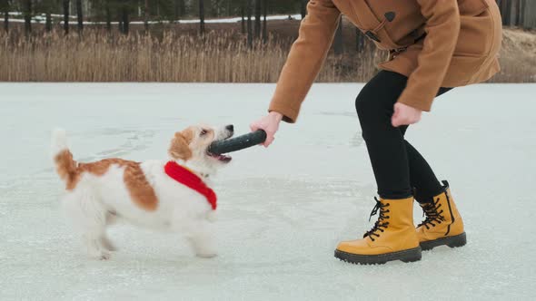 A girl in a coat and yellow boots plays in the winter on the ice of the lake with a dog