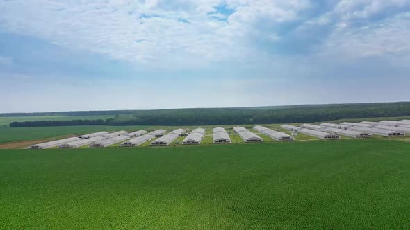 Side view to the huge modern farm outdoors.