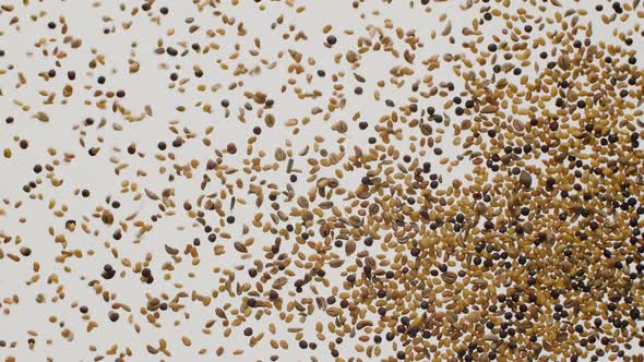 Many Seeds of Different Crops Flies in the Air on White Background