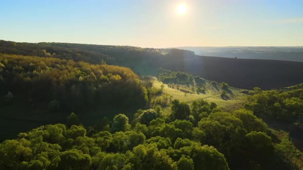 Aerial View of Woodland with Fresh Green Trees in Early Spring at Sunset