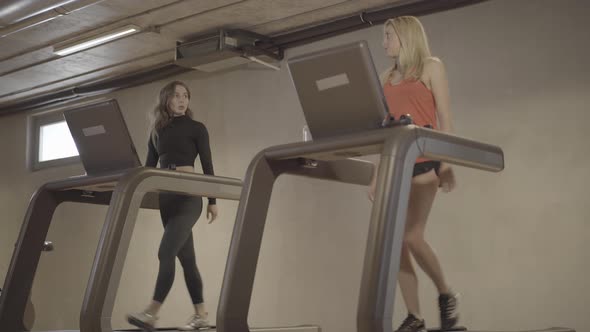 Two Young Caucasian Women Walking on Treadmills and Talking. Wide Shot of Confident Blond and