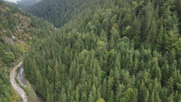 Forest in the Mountains. Aerial View of the Carpathian Mountains in Autumn. Ukraine