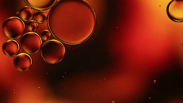 Abstract Colorful Food Oil Drops Bubbles 64