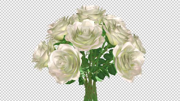 Rose Bouquet - White Flowers - Spinning Loop - MS