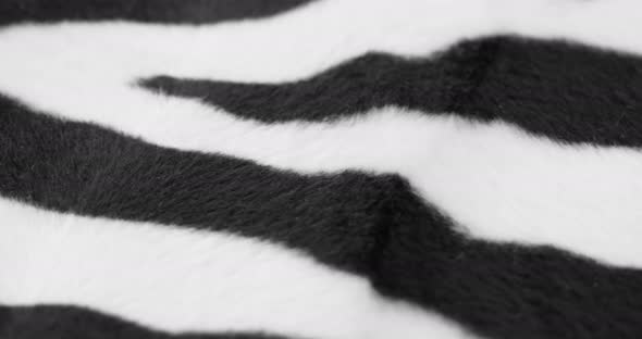 Zebra Fur Fabric Closeup