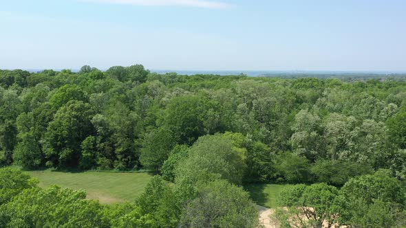 An aerial view just above green tree tops in an empty park on a sunny day. The drone camera boom up