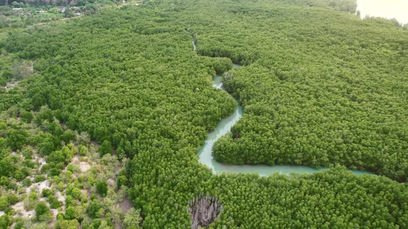 tropical turquoise blue mangrove river forest on island in thailand from above, aerial