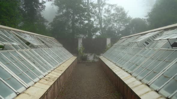 Greenhouses With Opened Windows Covered with Thick Mist in Pena Garden Park