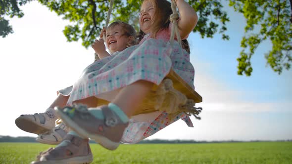 Two Cheerful Happy Beautiful Smiling Girls Swinging on a Swing