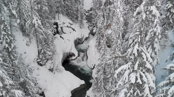 flying up from winter waterfall