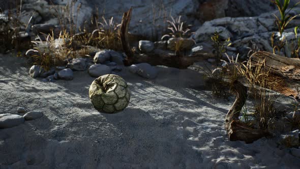 An Old Torn Soccer Ball Thrown Lies on Sand of Sea Beach alt