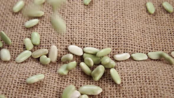 Uncooked Verdina bean (from Asturias and Galicia) falling on a rustic rough burlap