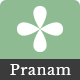 Pranam – Reiki Healing & Meditation WordPress Theme - ThemeForest Item for Sale