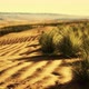 Beautiful Yellow Orange Sand Dune in Desert in Middle Asia - VideoHive Item for Sale